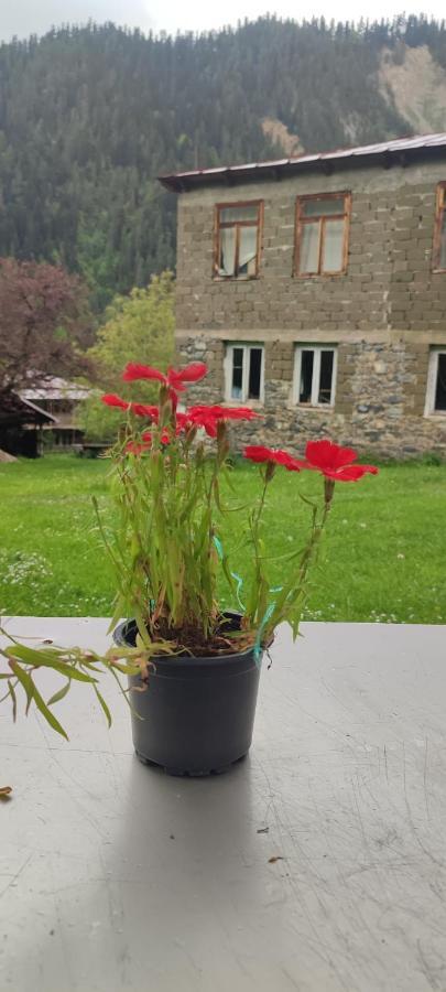 Tsknari Oda Oni Εξωτερικό φωτογραφία